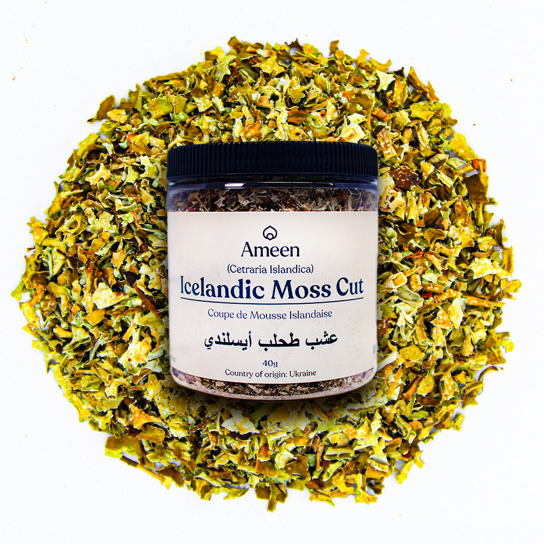 Icelandic Moss, Cetraria islandica, Fjallagras, Fjallavetriljós, Frumsli, Islandsk mos, Kramlav, Lungsíld, Lungsíla, Lungwort, Rökkurófifi, Vetrarmos, Vadikarfi, Hjúpur, Moosbeere, Islandsk lav, Islandia, Rosal, Rosalía, Rosolía, and Rundbarr,&nbsp;Shaileya, Svinmasa, Stagno, Charela, Matmasa, Iceland Liver Wort, Lichen d'Islande, Liquen de islandia,&nbsp;الطحلب الأيسلندي ,&nbsp;خزه ایسلندی
