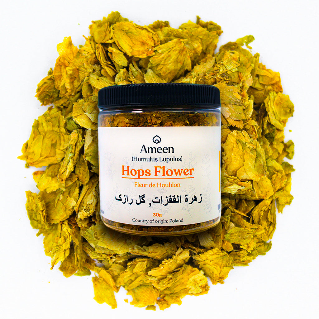 Hops flower, Humulus lupulus, Hopfen, Houblon, Lupulo, Lúpulo, Houblon commun, Humle, Omoa, Ombú, Bine, Vřes, Chmel, Chmiel, Szőlőcserje, Luppolo, Humulus, Chmiel zwyczajny, Šišák chmelový, Kvindehan, Wilder Hopfen, Хмель, Hmelyu, Хмел, Hopfenblüte, and Yabani şerbetçiotu,&nbsp;Willow wolf, Common Hops, Lupulo, Hopfen, Houblon ,&nbsp;زهرة القفزات,&nbsp;گل رازک