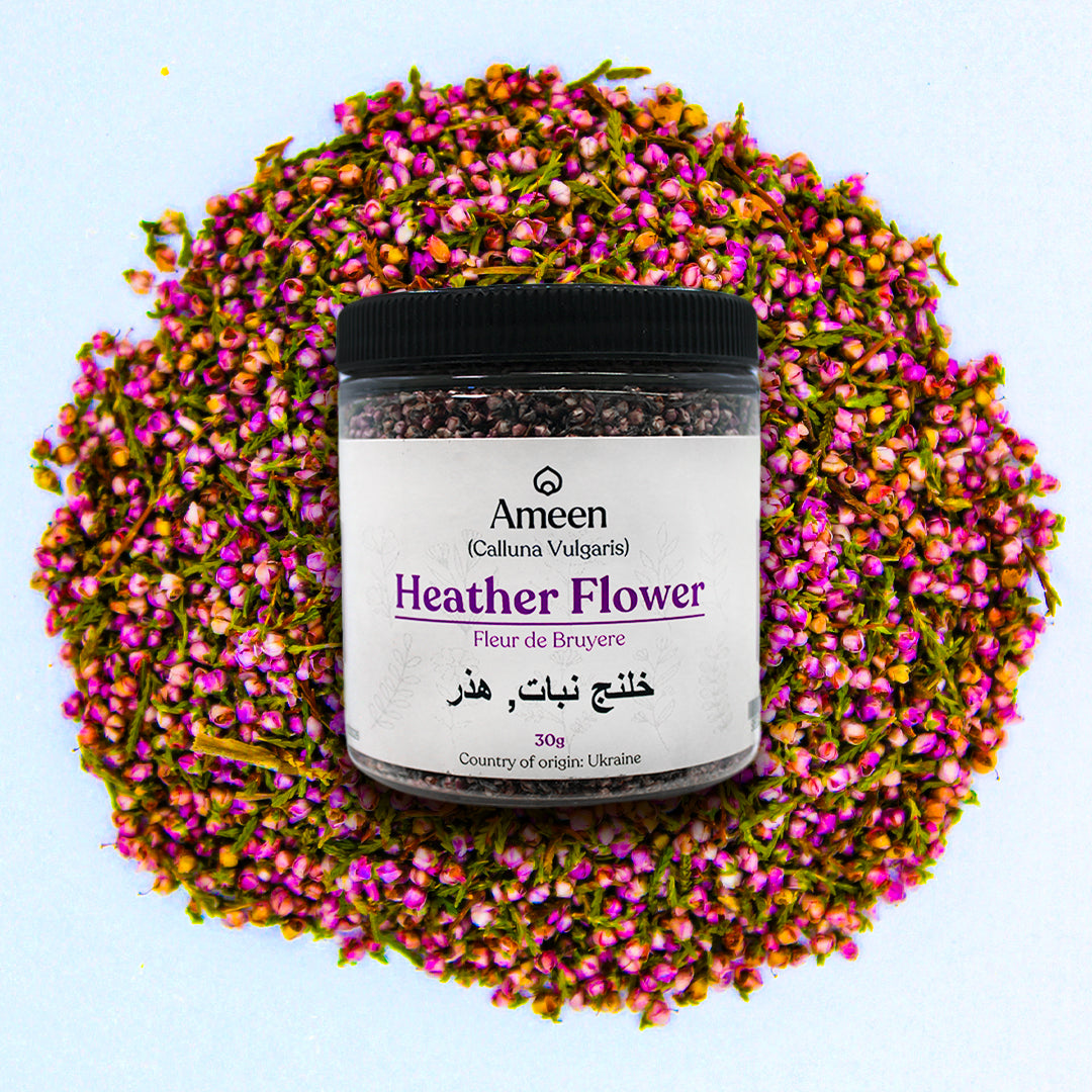 Common Heather, Fraoch, Broom Heather, Brendolo, Breyo, Ling, Brande, Scotch Heather, Beitilyng,&nbsp;&nbsp;زهرة هيذر, Ling, Scotch Heather, Common Heather, Ling Heather, Heather Bell, Heather Blossom, Heather-bell, Heather-blossom, Heather-bush, Heatherling, Ling, Heatherette, Heath, Heather Plant, Bell Heather, Heather Shrub, Heather Stray, Ling Heather, Scots Heather, Fraoch, Froach, Hether, Ling Plant, Heather Moorland, Erica vulgaris, Erica cinerea, Heather Flower