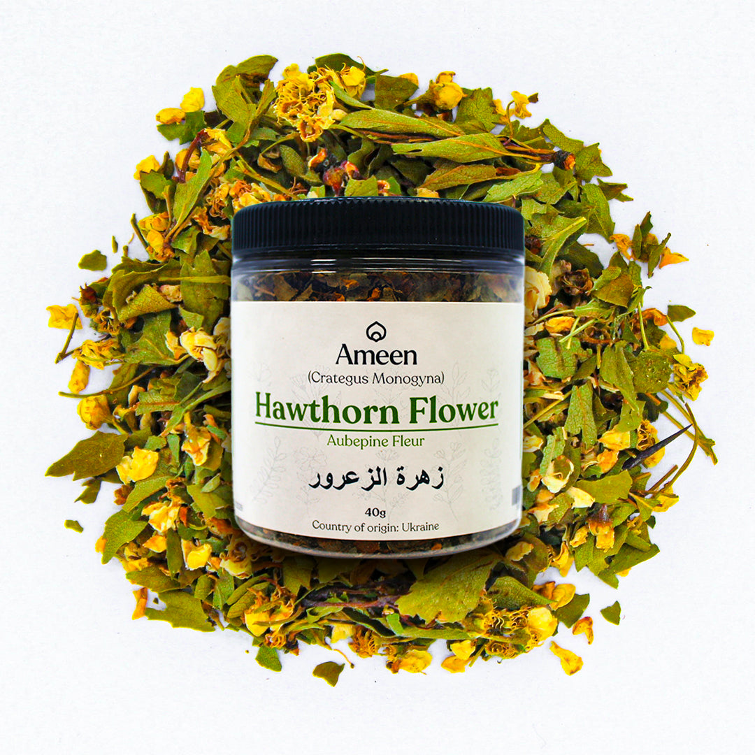 May Blossom, Maybush, Whitethorn, Haw,&nbsp;山楂花和叶子,&nbsp;नागफनी,&nbsp;mayflowers, may blossoms, maythorn, whitethorn, haw, hawberry, thornapple, may-tree, quickset, Shan zha in Chinese,&nbsp;Hawthorn blossoms, Crataegus flowers, Mayflowers, May blossoms, May bush flowers, Haw flowers, Whitethorn flowers, Maythorn blooms, Quickset flowers, Thorn apple blossoms, Haw apple flowers, Thorn bush flowers, Hawthorn blooms, and Hawthorn tree flowers