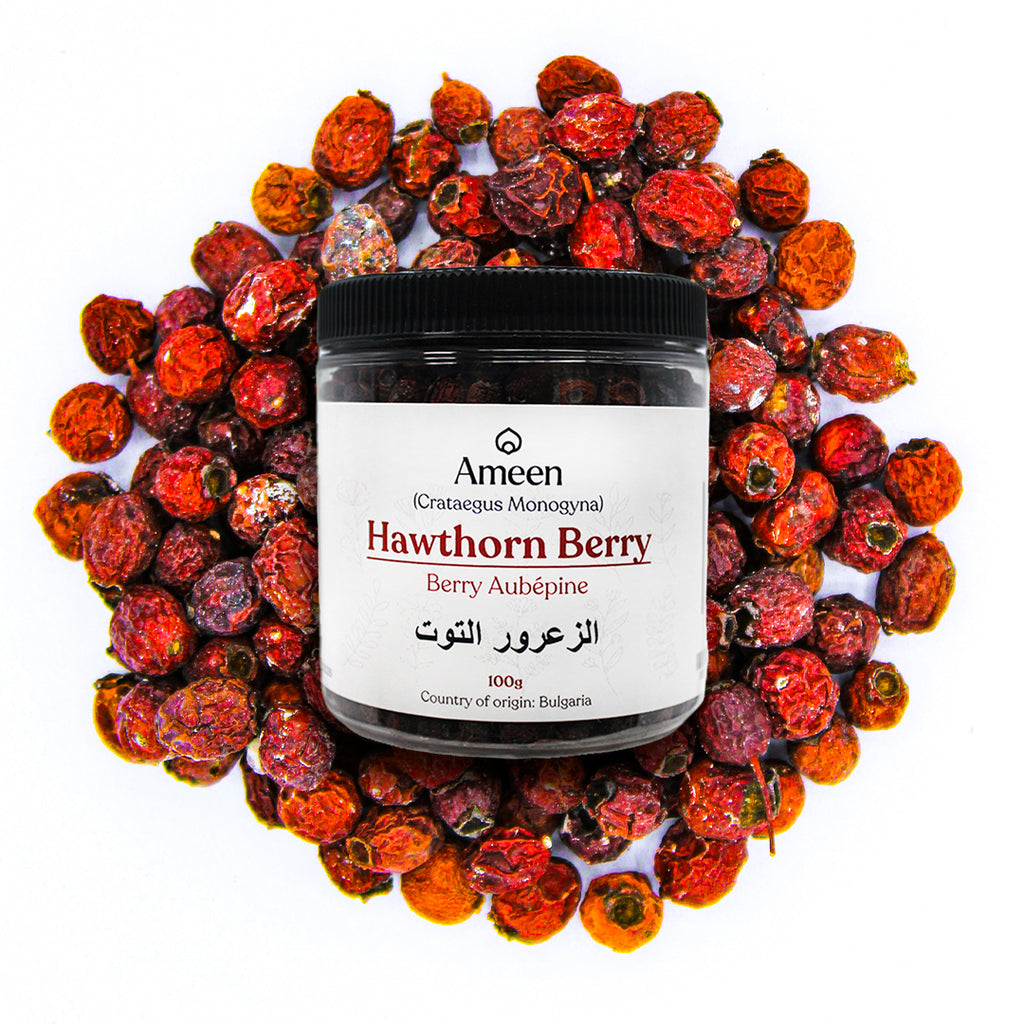 Hawthorn Berries, Crataegus berries, May Bush, May Tree, Whitethorn, Haw Berry, Quickthorn, Thornapple, Mayblossom, Hawapple, Bread and Cheese, Hagthorn, Quickset, Gazels, Gazels Thorn, Hedgethorn, English Hawthorn, Red Haw, Whitethorn, Harthorn, Shan-cha, Shān Zhā, Huán Mēi, Whitehorn, Hawthorne, and Mayflower