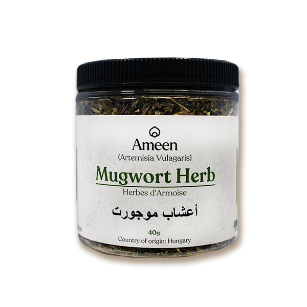 mugwort herb, artemisia vulgaris, Old man, old uncle Henry, chrysanthemum weed, wild wormwood, cronewort, moxa, sailor's tobacco, felon herb, muggons, indian wormwood, artemisia, cronewort, common wormwood, felon herb, wild wormwood, sailor's tobacco, chrysanthemum weed, and St. John's plant