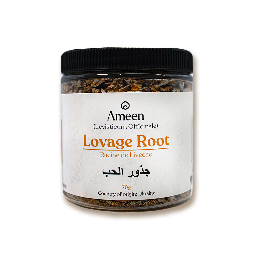 Botanical Name: Levisticum officinale
Common Names: Smellage, Maggi Plant, Old English Lovage, Ligusticum, Levisticum, Sea Parsley, Love Parsley, Italian Lovage, Wild Celery, Smallage, Ajmoda