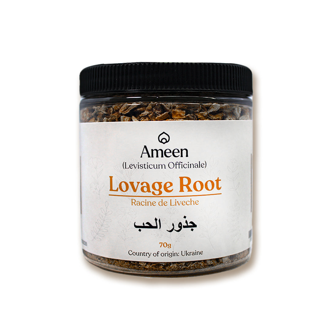 Botanical Name: Levisticum officinale
Common Names: Smellage, Maggi Plant, Old English Lovage, Ligusticum, Levisticum, Sea Parsley, Love Parsley, Italian Lovage, Wild Celery, Smallage, Ajmoda