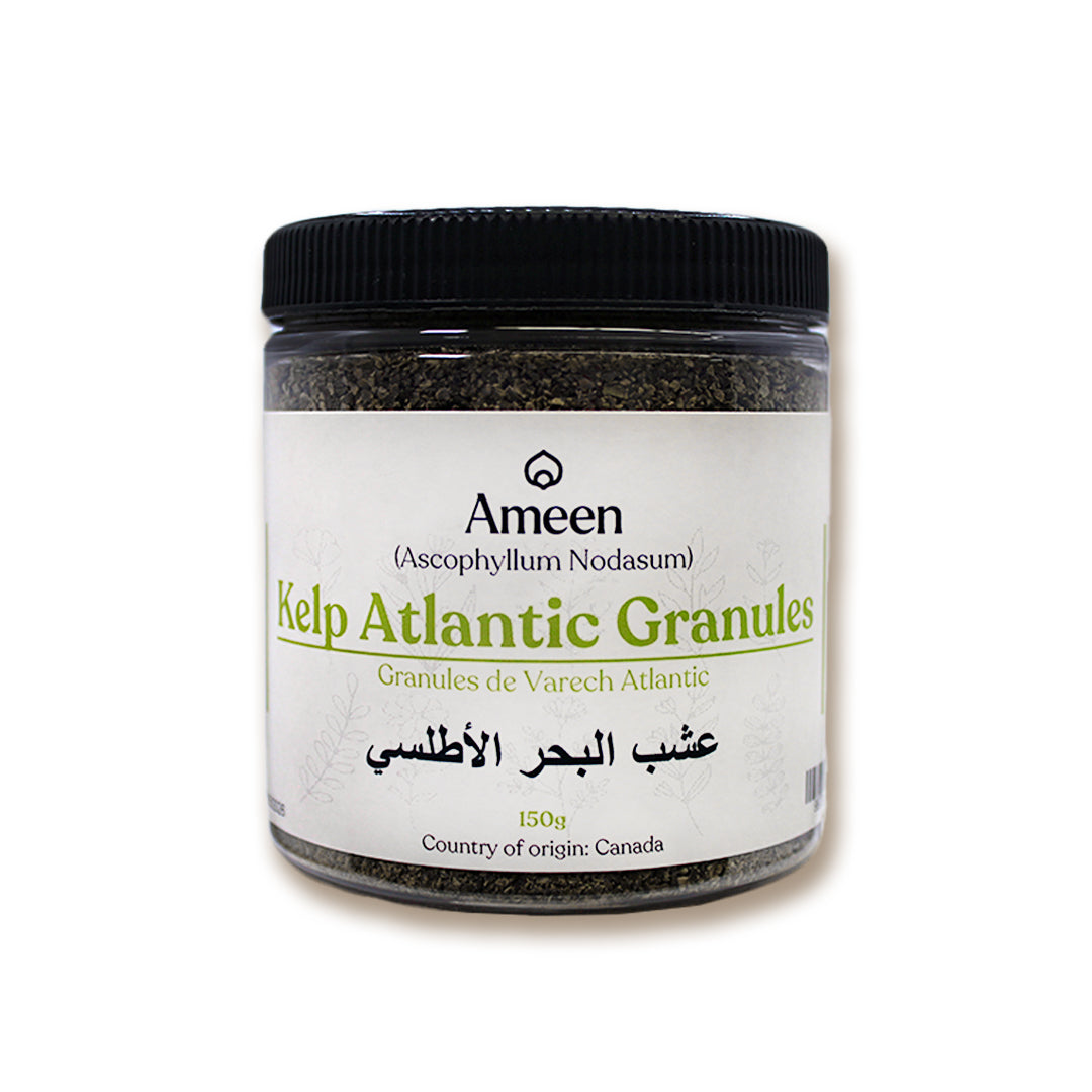 Atlantic Kelp, Knotted Wrack, Egg Wrack, Rockweed, Seawrack, Norwegian Kelp, Fucus nodosus, Brown Seaweed, Norwegian Wrack, Bladderwrack, Black Tang, Sea Oak, Seawrack, Algae