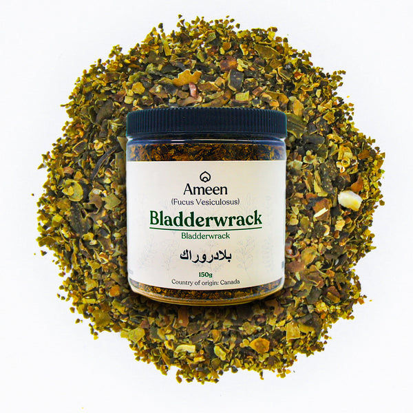 Bladderwrack