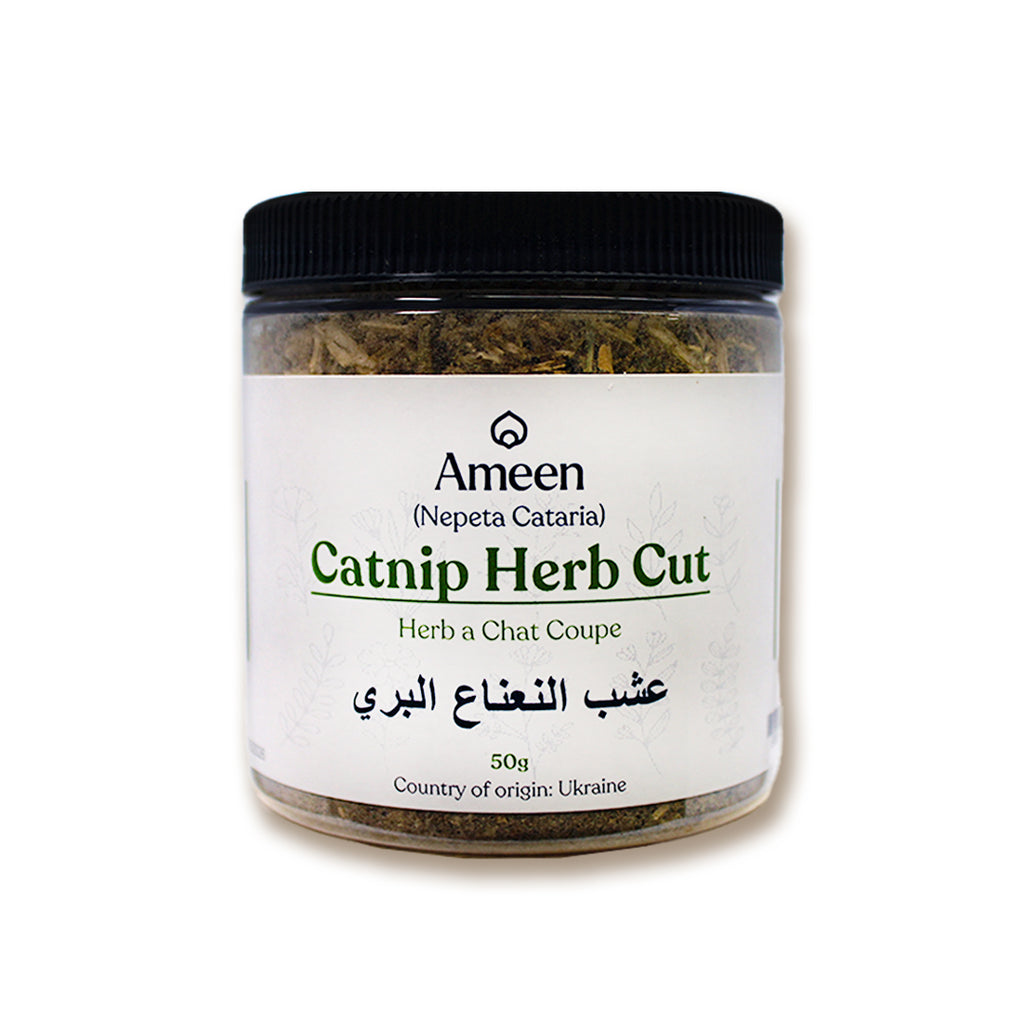 Catnip herb, Nepeta cataria, Catmint, Catnep, Catrup, Catswort, Field Balm, Cataria, Catruppel, Herba Cataria, Nep, Nepeta, Nip, Nipperwort, Nippit, Nepit, Catwort, Cat's Delight, Cat Grass, Cat's Play, Cat's Herb, Cat's Love, Cat's Thyme, Cataire, Herbe aux Chats, Chataire, Chataire Blanche, Chataire Commune, Menthe des Chats, Menta de Gato, Mentuccia, Cataria, Catar, Katzenminze, Katzenkräutlein, Kattenkruid, Nippon, and Nipponmint