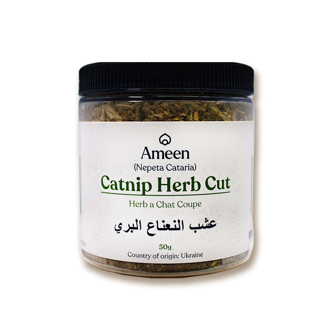 Catnip herb, Nepeta cataria, Catmint, Catnep, Catrup, Catswort, Field Balm, Cataria, Catruppel, Herba Cataria, Nep, Nepeta, Nip, Nipperwort, Nippit, Nepit, Catwort, Cat's Delight, Cat Grass, Cat's Play, Cat's Herb, Cat's Love, Cat's Thyme, Cataire, Herbe aux Chats, Chataire, Chataire Blanche, Chataire Commune, Menthe des Chats, Menta de Gato, Mentuccia, Cataria, Catar, Katzenminze, Katzenkräutlein, Kattenkruid, Nippon, and Nipponmint