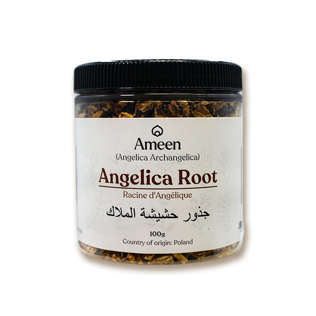 Garden Angelica, Wild Angelica, Archangel Root, Angel Root, Angelique, Holy Ghost, Angelica