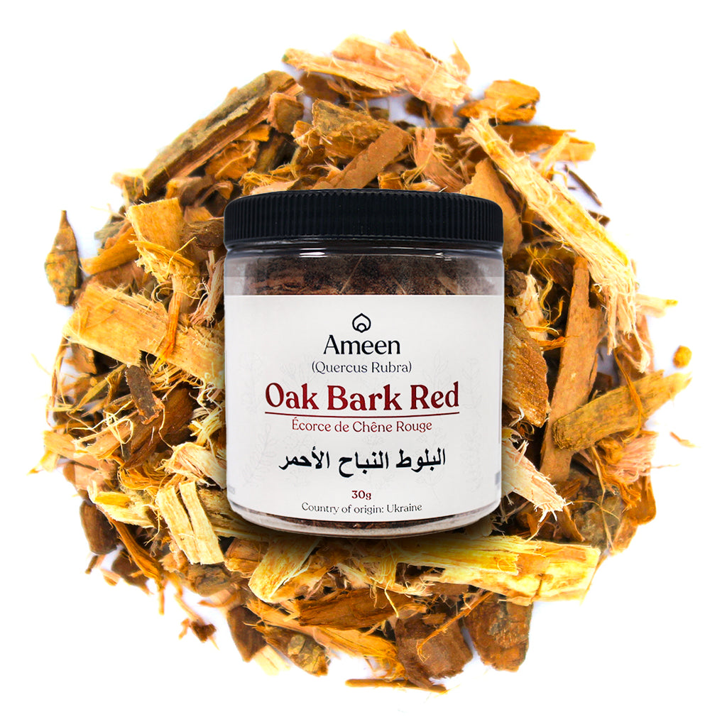 Botanical Name: Quercus rubra
Common Names: Red Oak Bark, Northern Red Oak Bark, English Oak, Tanner’s Oak, Champion Oak Bark, Pin Oak Bark, Black Oak Bark, Spanish Oak Bark, Eastern Red Oak Bark, Shingle Oak Bark, Southern Red Oak Bark, Scarlet Oak Bark, Quercus borealis, Quercus rubra borealis, Quercus rubra ellipsoidalis