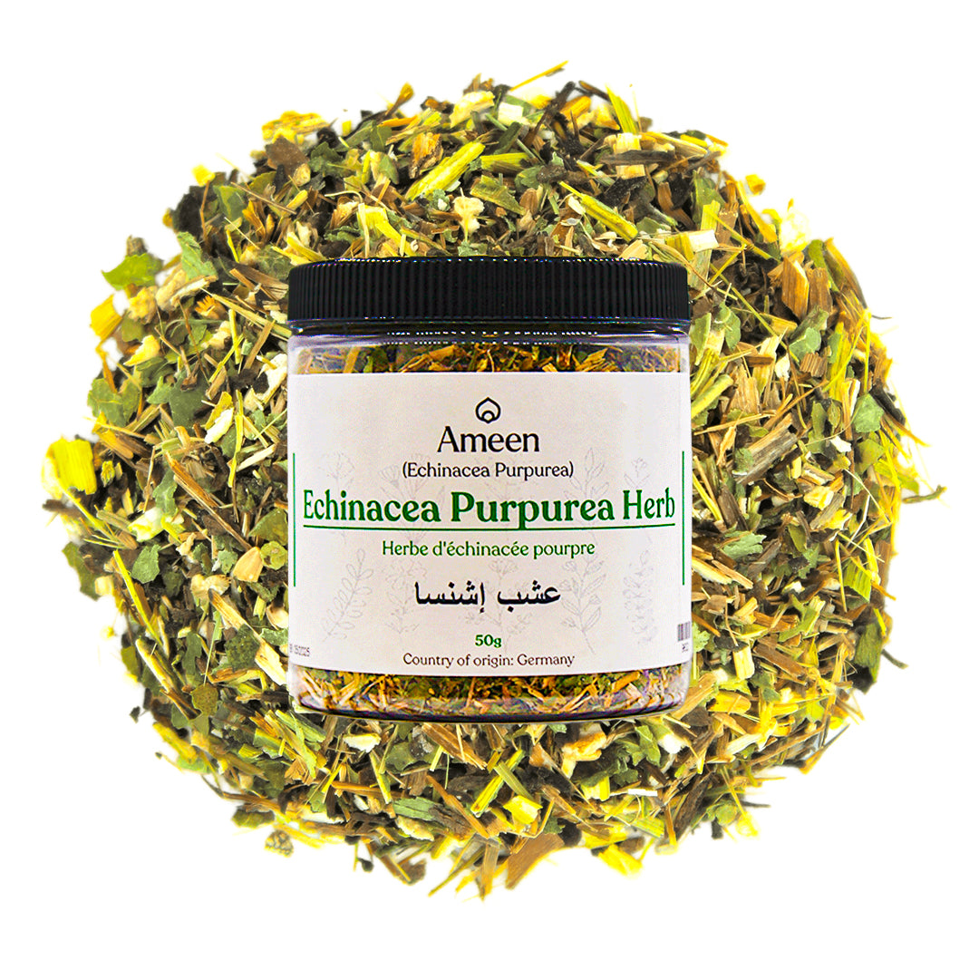 Echinacea Purpurea Herb