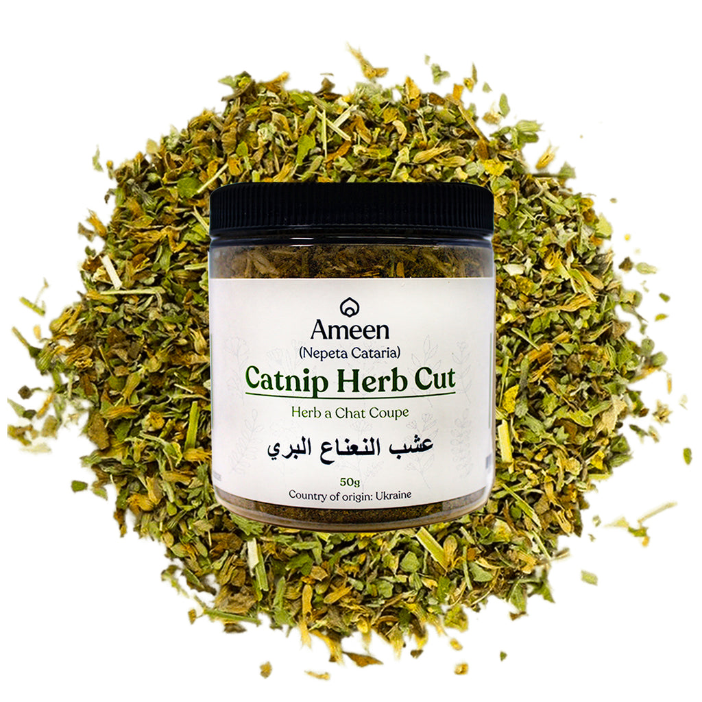 Catnip herb, Nepeta cataria, Catmint, Catnep, Catrup, Catswort, Field Balm, Cataria, Catruppel, Herba Cataria, Nep, Nepeta, Nip, Nipperwort, Nippit, Nepit, Catwort, Cat's Delight, Cat Grass, Cat's Play, Cat's Herb, Cat's Love, Cat's Thyme, Cataire, Herbe aux Chats, Chataire, Chataire Blanche, Chataire Commune, Menthe des Chats, Menta de Gato, Mentuccia, Cataria, Catar, Katzenminze, Katzenkräutlein, Kattenkruid, Nippon, and Nipponmint