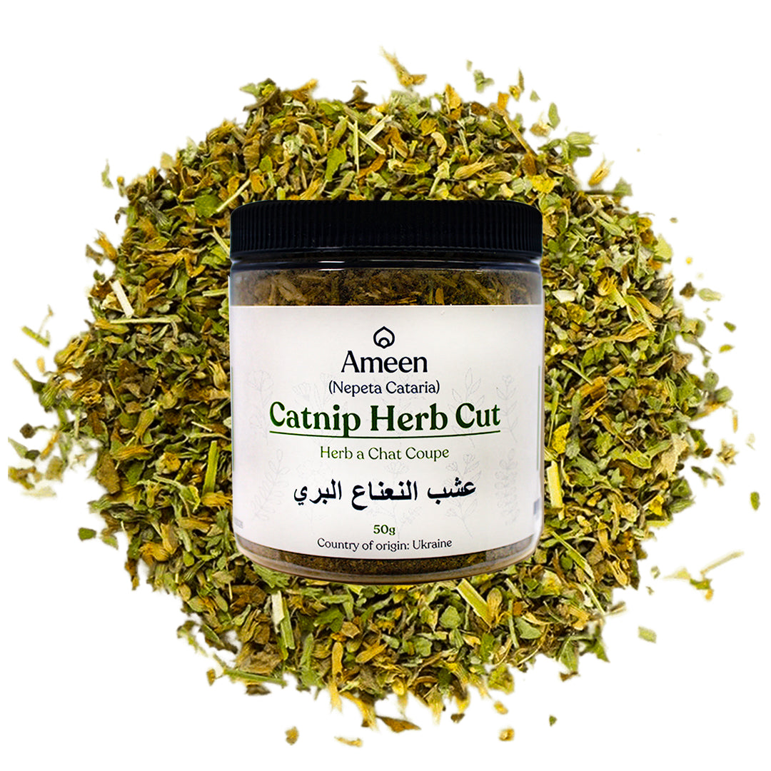 Catnip herb, Nepeta cataria, Catmint, Catnep, Catrup, Catswort, Field Balm, Cataria, Catruppel, Herba Cataria, Nep, Nepeta, Nip, Nipperwort, Nippit, Nepit, Catwort, Cat's Delight, Cat Grass, Cat's Play, Cat's Herb, Cat's Love, Cat's Thyme, Cataire, Herbe aux Chats, Chataire, Chataire Blanche, Chataire Commune, Menthe des Chats, Menta de Gato, Mentuccia, Cataria, Catar, Katzenminze, Katzenkräutlein, Kattenkruid, Nippon, and Nipponmint