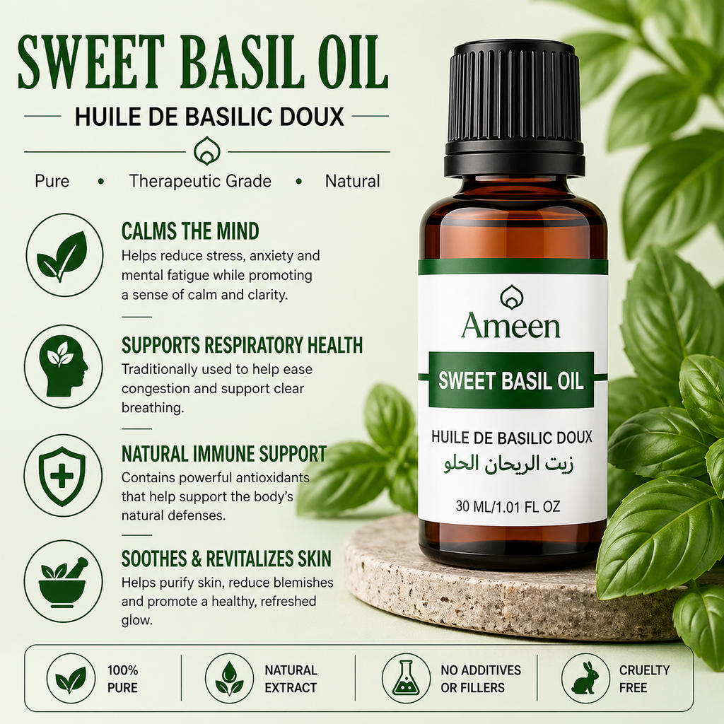 Sweet Basil Oil