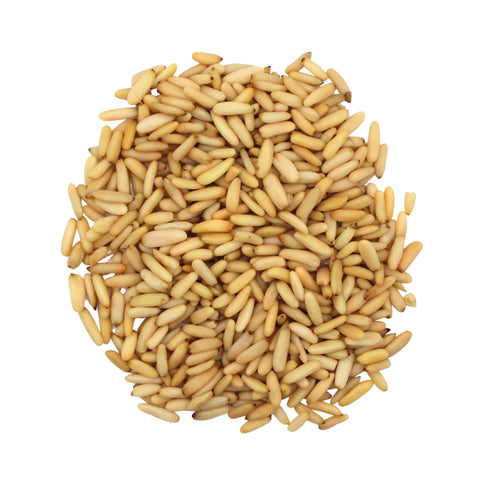 Botanical Name: Pinus gerardiana
Common Names: Afghan Pine Nuts, Chilgoza, Chilghoza Pine Nuts, Chilgoza Kernels
Global Names:
Pashto: چلغوزه مغز
Dari: مغز چلغوزه
Arabic: صنوبر أفغاني
Hindi: चिलगोज़ा गिरी
Turkish: Afgan Çam Fıstığı
French: Pignons de pin afghans
Chinese: 阿富汗松子仁 (Āfùhàn sōngzǐ rén)
Russian: Афганские кедровые орешки (ядра)