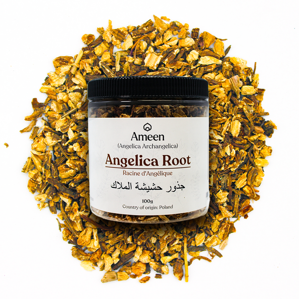 Angelica Root