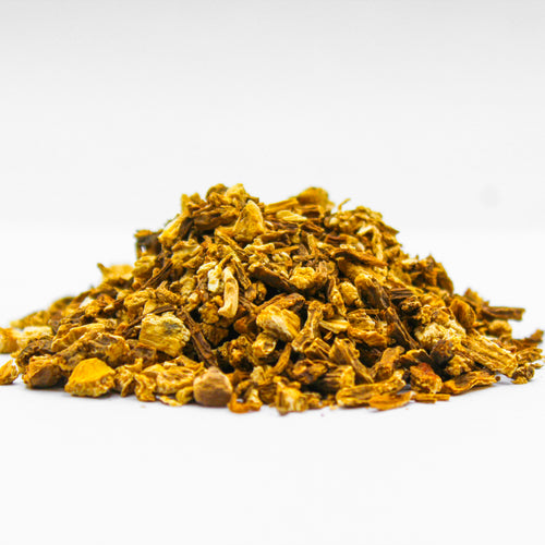 Garden Angelica, Wild Angelica, Archangel Root, Angel Root, Angelique, Holy Ghost, Angelica