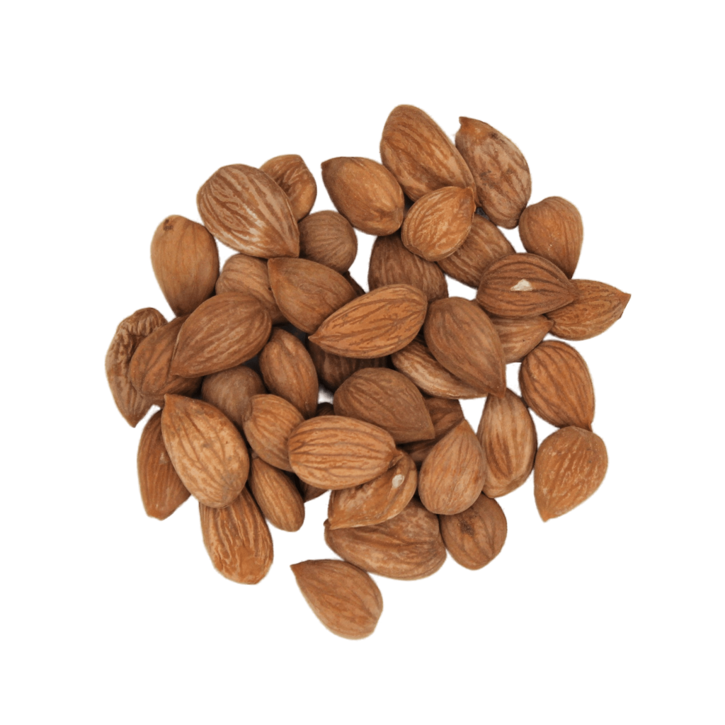 Apricot Seeds