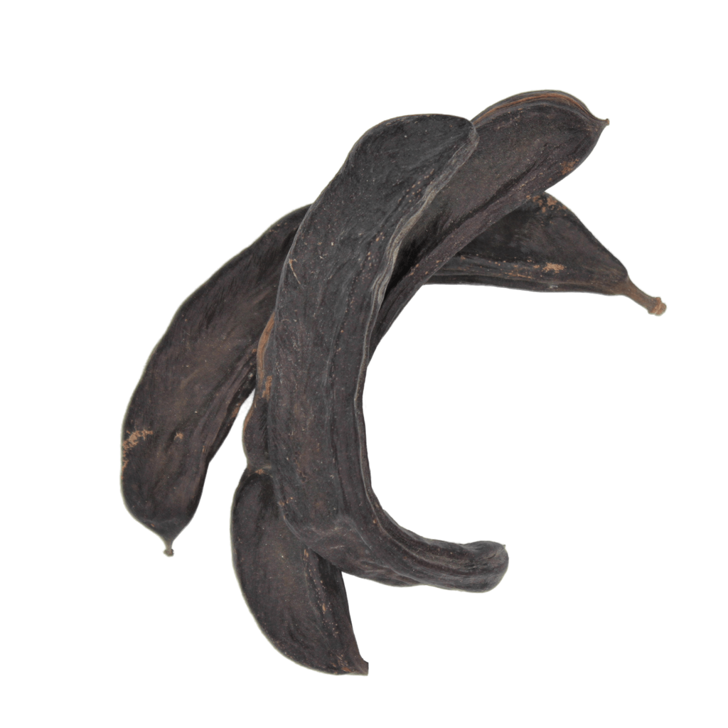 St. John's Bread, Locust Bean, Carob Tree, Ceratonia siliqua, Algarrobo, Locust Pods, Sugar Pods