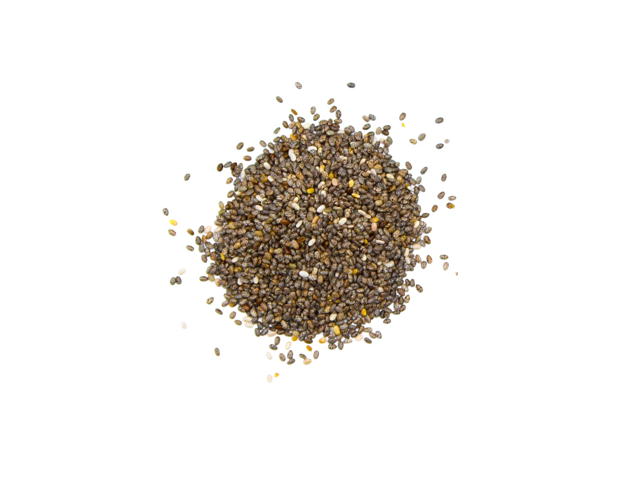 Chia Seeds, Chiapan Sage, Mexican Chia, Chia,, semillas de chía, graines de chia, चिया के बीज, Salvia hispanica
