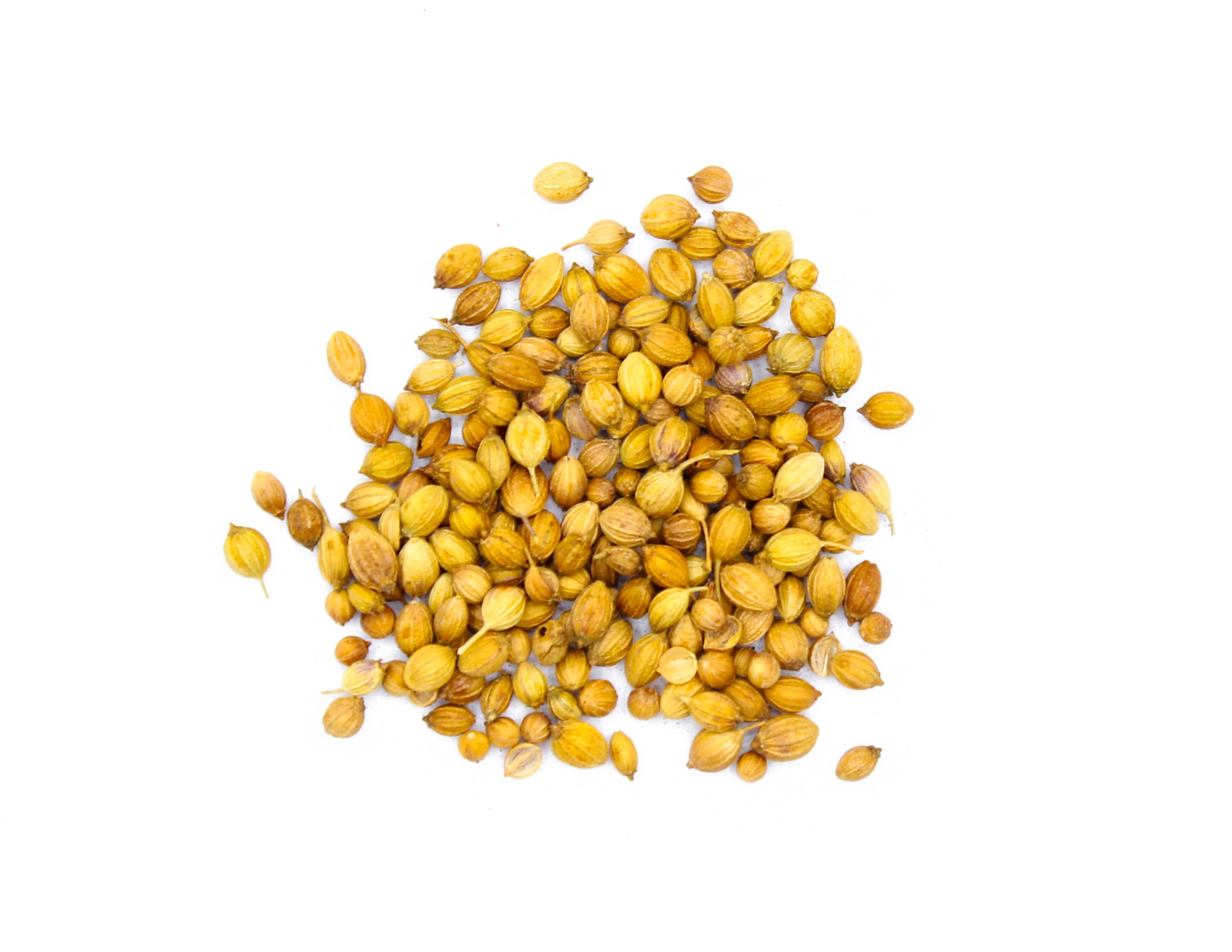 Coriander Seeds, Whole Coriander, Coriander Seed, Dhania Seeds, Semillas de Cilantro, Ganze Koriandersamen, Semi di Coriandolo, Semințe de Coriandru, Çörek Otu Tohumu, Hele Koriander, بذور الكزبرة, धनिया के बीज, دھنیا کے بیج