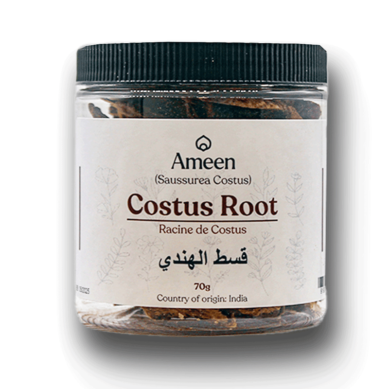 Indian Costus Root Kushta Powder Organic Qist Al Hindi 40G القسط الهندي  البري
