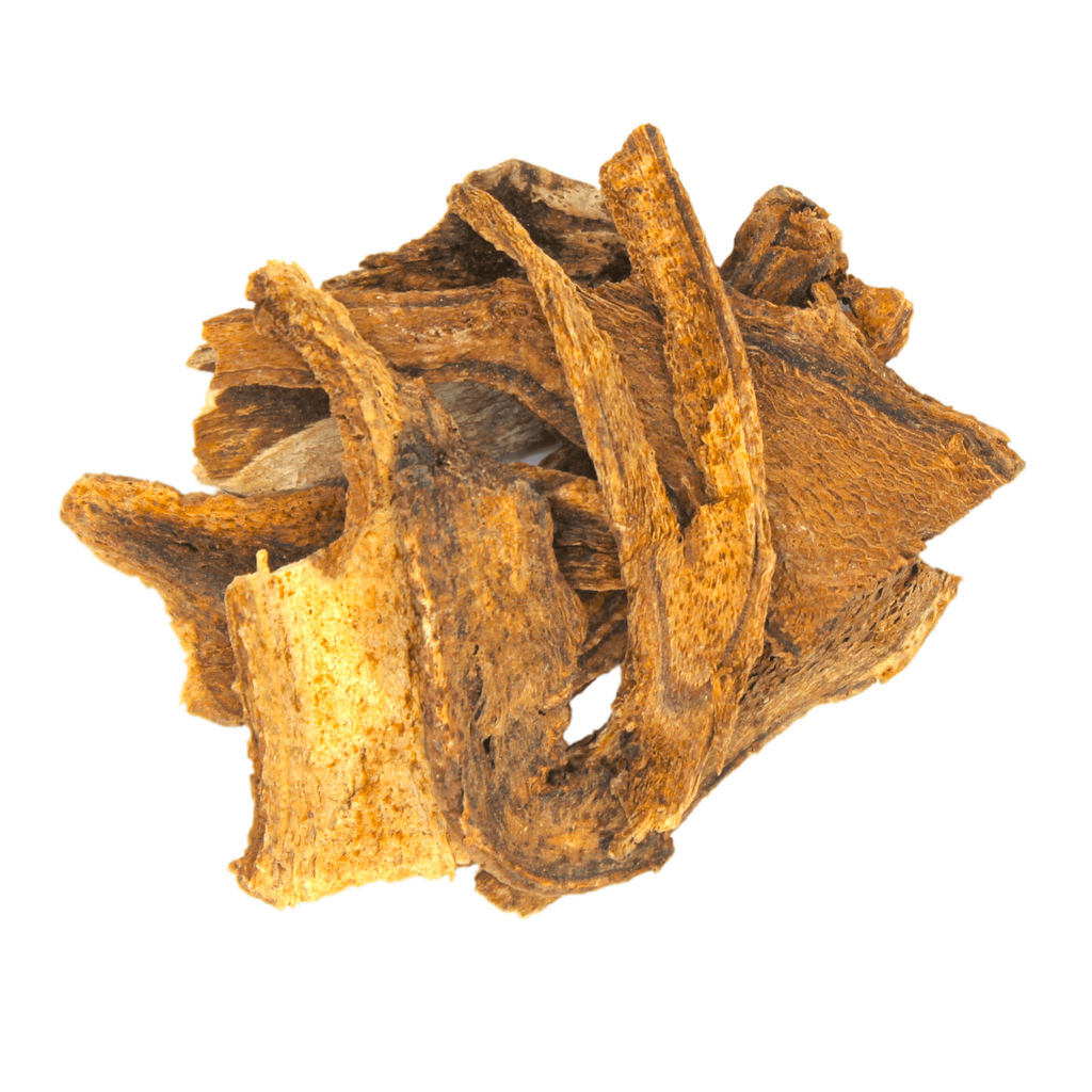 Costus Root, Costus, Saussurea lappa, Kuth, Kut, Kushta, Kutha, Kushtanashini, Aromatic ginger, Indian aloe, Qust, Qust al-bahri, Qust al-hindi, Kostum, Kustam, Kostha, Kushtham, Kushtha, and Kushta bheda