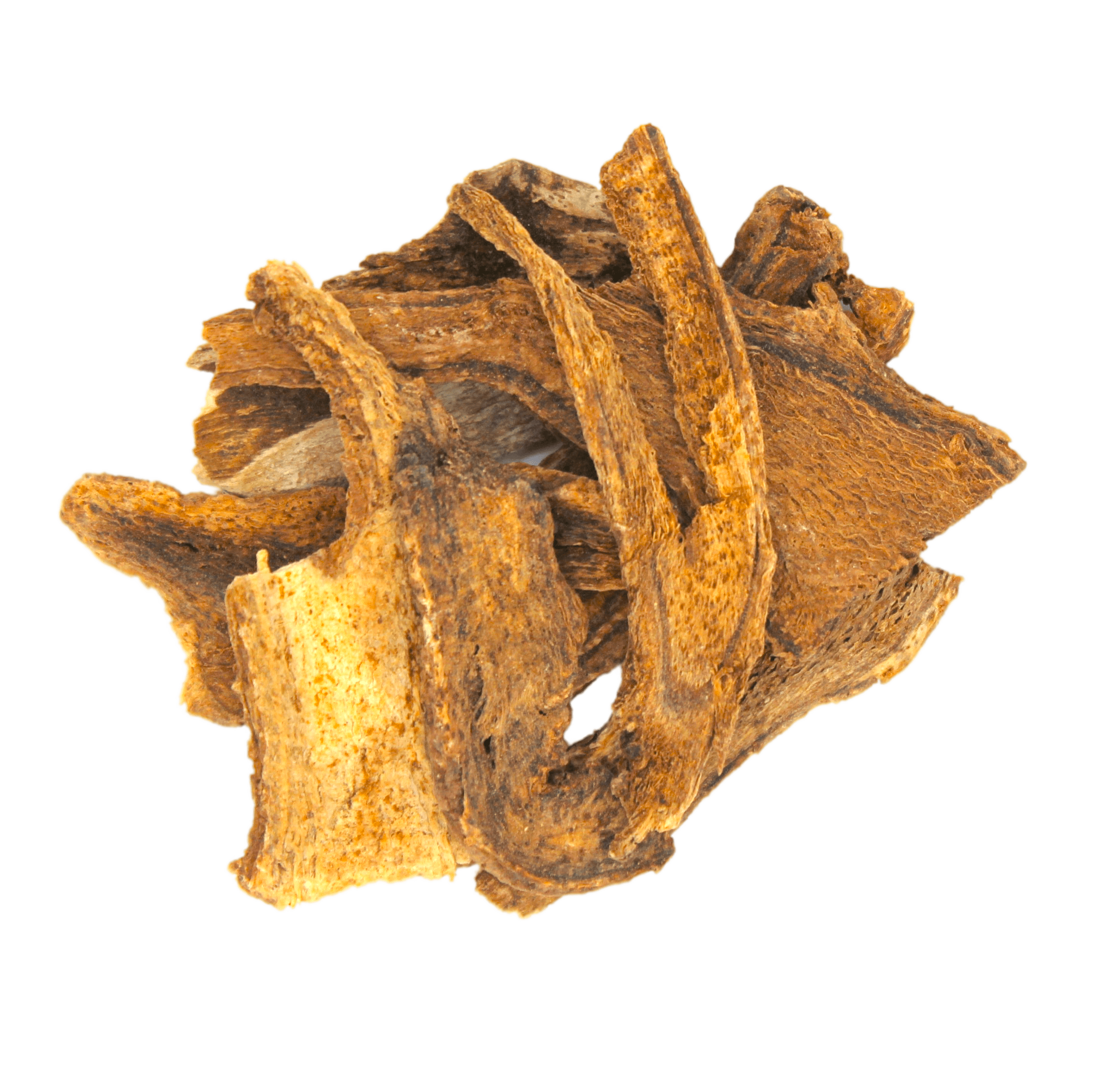 Costus Root, Costus, Saussurea lappa, Kuth, Kut, Kushta, Kutha, Kushtanashini, Aromatic ginger, Indian aloe, Qust, Qust al-bahri, Qust al-hindi, Kostum, Kustam, Kostha, Kushtham, Kushtha, and Kushta bheda