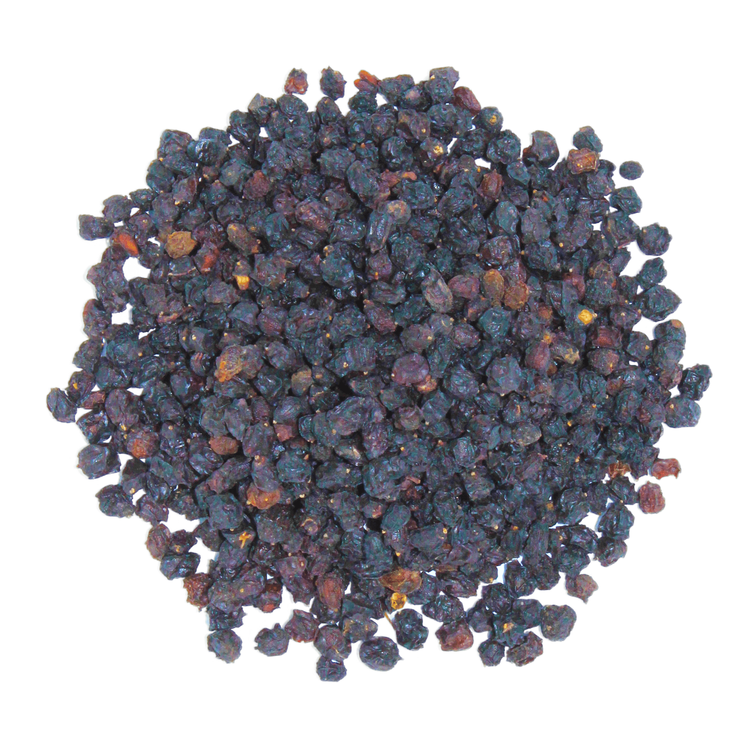 Black Elder, Holunder, Sureau, Sauco, Boretree, Pip tree, Devil's Wood, Sabuco, Khamaan Kabir,&nbsp;&nbsp; البلسان نبات, Elderberry, elder, Sambucus nigra, European elder, black elder, elderberry bush, elderflower, elder tree, bourtree, bournebrim, lady elder, elderberry shrub, common elder, sweet elder, boor tree, elderberry plant, Sambucus, Elderberry Berry