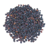 Black Elder, Holunder, Sureau, Sauco, Boretree, Pip tree, Devil's Wood, Sabuco, Khamaan Kabir,&nbsp;&nbsp; البلسان نبات, Elderberry, elder, Sambucus nigra, European elder, black elder, elderberry bush, elderflower, elder tree, bourtree, bournebrim, lady elder, elderberry shrub, common elder, sweet elder, boor tree, elderberry plant, Sambucus, Elderberry Berry