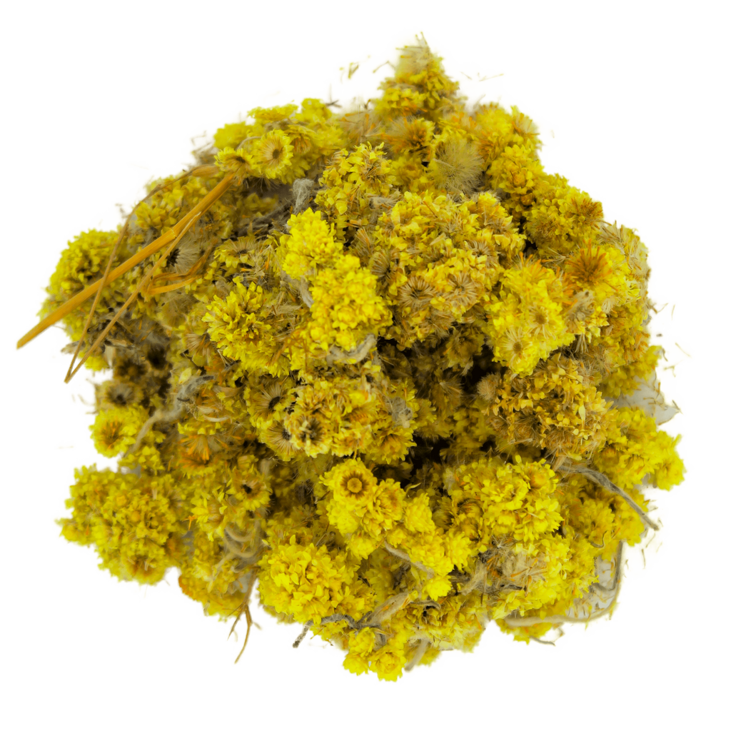 Everlasting Flower, Helichrysum, Immortelle, Eternal Flower, Curry Plant, Strawflower, Xerochrysum, Golden Everlasting, Paper Daisy, Yellow Chrysanthemum, Achillea Stoechadifolia, Aphyllees, Ball Everlasting, Barley Grass, Cudweed, Curry Bush, Currybush, Gnaphalium Pumilio, Golden Sunray, Helipterum, Marsh Everlasting, Pearly Everlasting, Pink Paper Daisy, Rabbit Tobacco, Straw Daisy, Stoechadifolia, and Xerochrysum Bracteatum