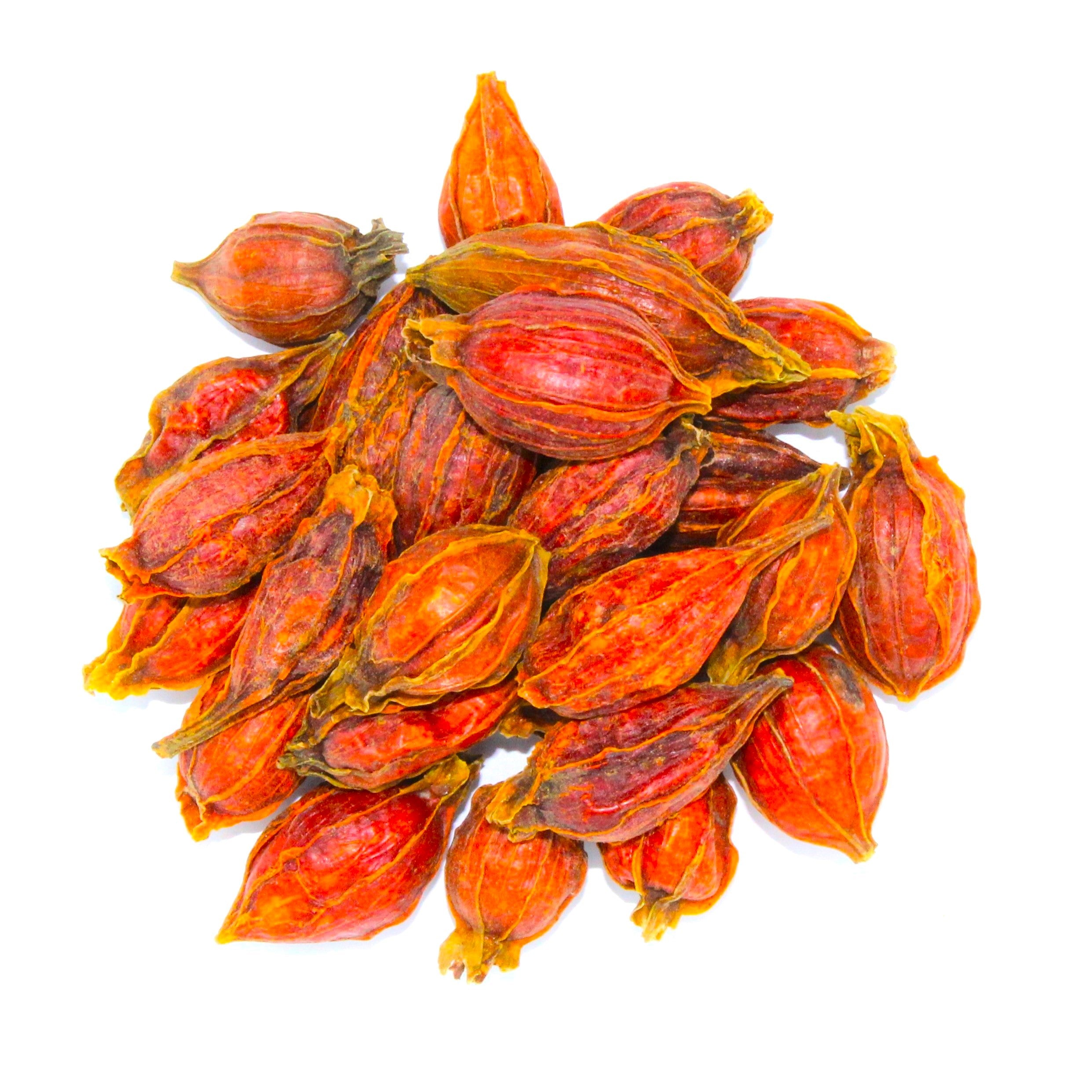 danh-danh, cape jessamine fruit, chija, cape jasmin,&nbsp;Zhī zi,&nbsp;栀子 ,&nbsp;فاكهة الغردينيا,&nbsp;Gardeniae Fruit, Zhi Zi, Cape Jasmine Fruit, Fructus Gardeniae, Shan Zhi Zi, Gardenia jasminoides fruit, Gardenia fruit