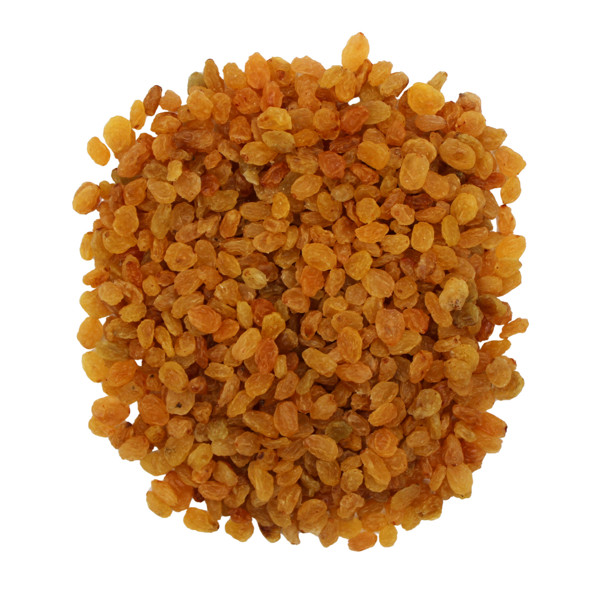 Golden Raisins Round