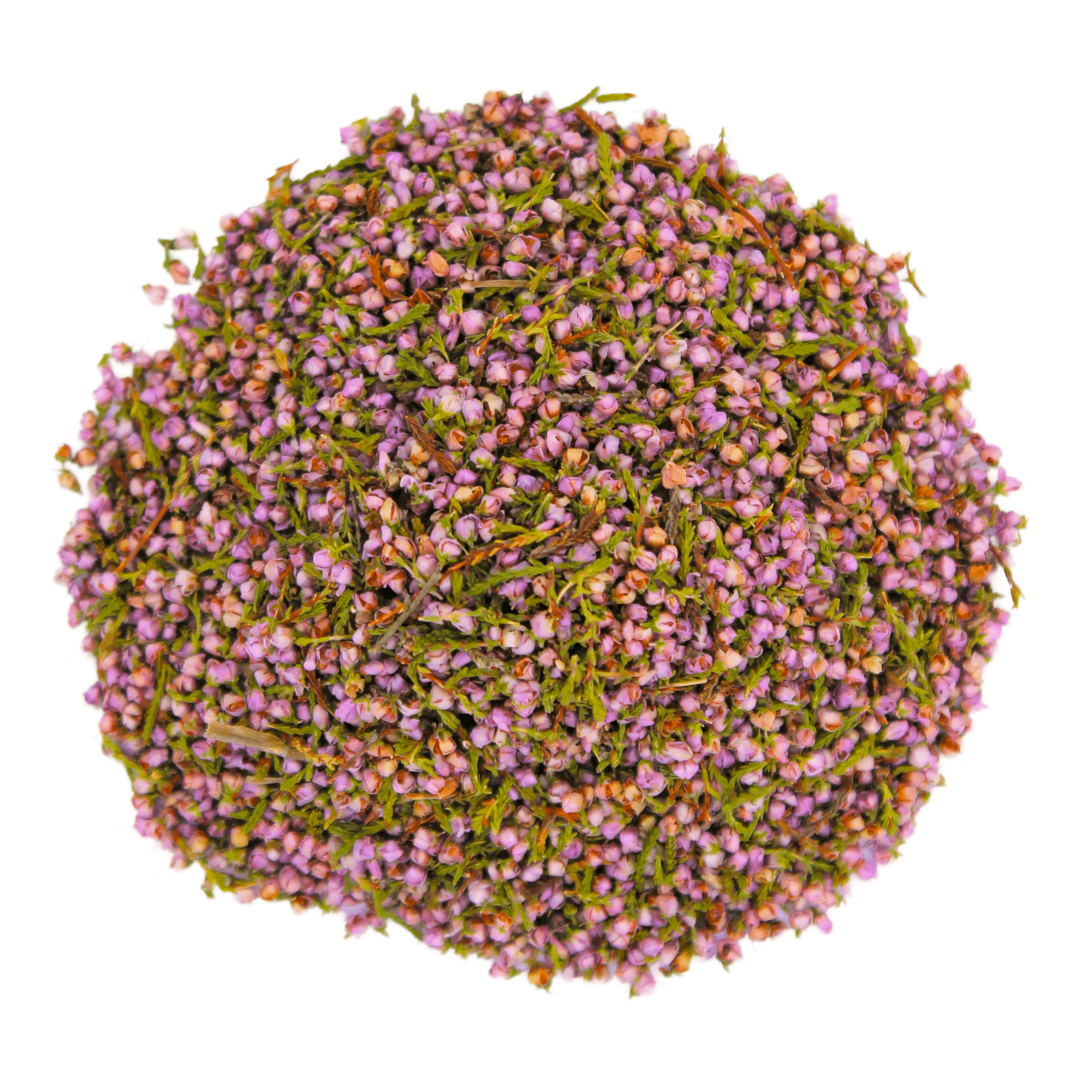 Common Heather, Fraoch, Broom Heather, Brendolo, Breyo, Ling, Brande, Scotch Heather, Beitilyng,&nbsp;&nbsp;زهرة هيذر, Ling, Scotch Heather, Common Heather, Ling Heather, Heather Bell, Heather Blossom, Heather-bell, Heather-blossom, Heather-bush, Heatherling, Ling, Heatherette, Heath, Heather Plant, Bell Heather, Heather Shrub, Heather Stray, Ling Heather, Scots Heather, Fraoch, Froach, Hether, Ling Plant, Heather Moorland, Erica vulgaris, Erica cinerea, Heather Flower