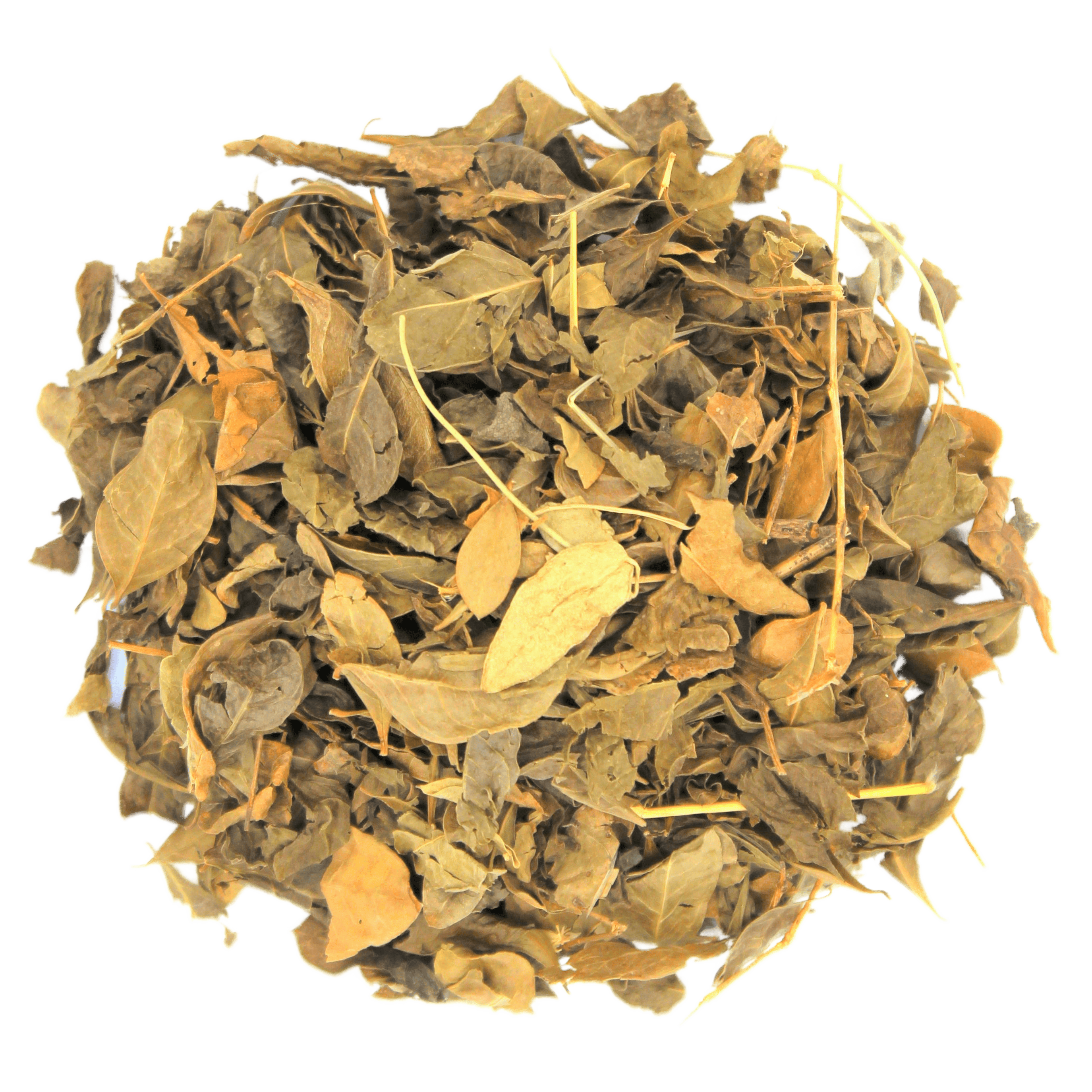 Henna leaves, Lawsonia inermis, Mehendi leaves, Mignonette tree, Egyptian privet, Al-Khanna, Al Mendhi, Al Mehndi, Al Sindoor, Al Sanadra, Hennastrauch, Henne, Mendhi, Mehandi, Mehandika, Mendee, Al-Henna, Al-Kanam, Al-Reyhan, Al-Sumaq, Hene, Hina, Hennastruik, Hennebaum, Hennestrauch, Mignonette, Smooth Lawsonia, Egyptian henna, Jamaica Mignonette, Mignonette tree, and Reseda,&nbsp;Hinaa, Mehndi, Mhina, Mendika, Ranaka, Hena, Dan, Mignonette tree, Camphire, Zanzibar bark, Hina, Fleurs, Reseda de France, In