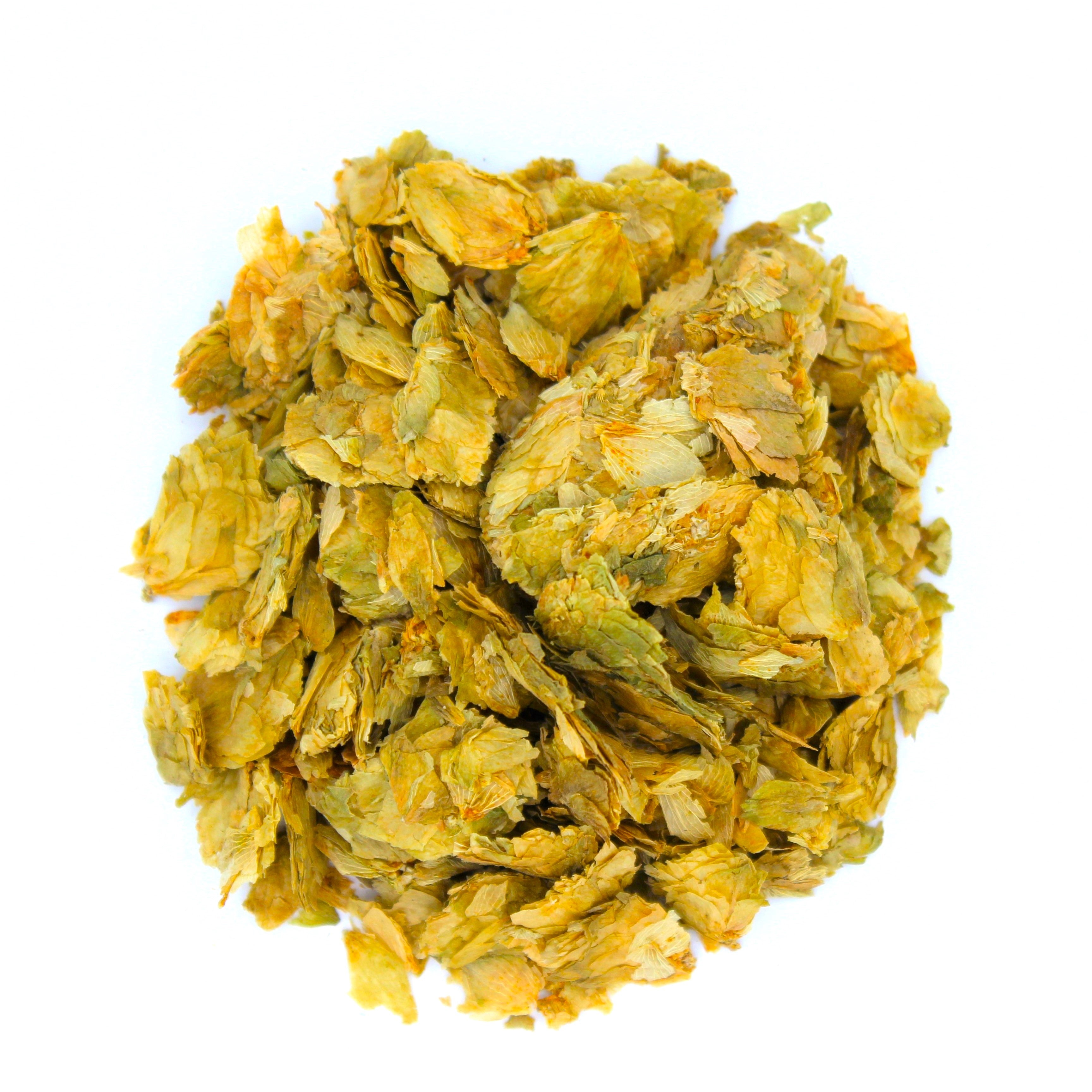 Hops flower, Humulus lupulus, Hopfen, Houblon, Lupulo, Lúpulo, Houblon commun, Humle, Omoa, Ombú, Bine, Vřes, Chmel, Chmiel, Szőlőcserje, Luppolo, Humulus, Chmiel zwyczajny, Šišák chmelový, Kvindehan, Wilder Hopfen, Хмель, Hmelyu, Хмел, Hopfenblüte, and Yabani şerbetçiotu,&nbsp;Willow wolf, Common Hops, Lupulo, Hopfen, Houblon ,&nbsp;زهرة القفزات,&nbsp;گل رازک