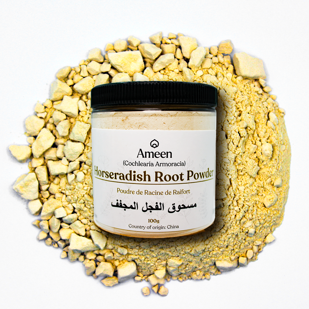 Mountain Radish, Raifort, Pepperrot, Moutardelle, Radis de Cheval, Cran de Bretagne, Cranson, Horseradish Powder, Armoracia rusticana Powder, Redcole Powder, Mountain Radish Powder, Cochlearia armoracia Powder, Great Raifort Powder, Stingnose Powder, Red Cole Powder, Nasturtium armoracia Powder, Leda Powder, Hendibeh Powder, German Mustard Powder, جذور الفجل, ریشه ترب کوهی