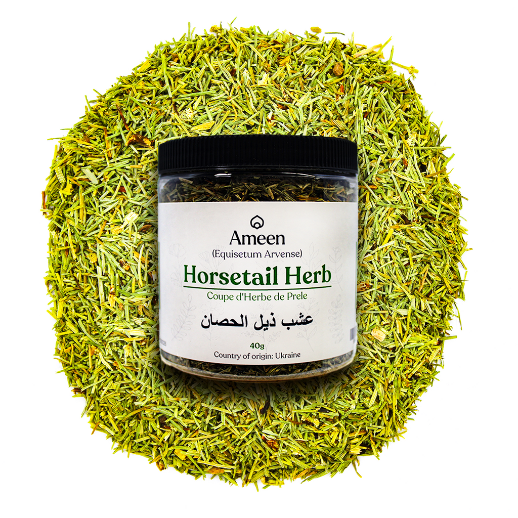 Common horsetail, Horse pipes, Horse willow, Horsetail grass, Western horsetail, Snake grass, Foxtail, Mare's tail, Jointed Rush, Shavegrass, Ashwa pucha, Soksae, Sugina, Field Horsetail, Toadpipe, Rasperella, Ravrumpa, Zinngras, Zinnkraut, Queue de rat, Queue de renard, Wen ching, Belcho,&nbsp;ذيل الحصان,&nbsp;دم‌اسب صحرایی,&nbsp;puzzlegrass, bottle brush, scouring rush, pewterwort, shavegrass, equisetum, field horsetail, Dutch rushes, jointed rush, paddock-pipes
