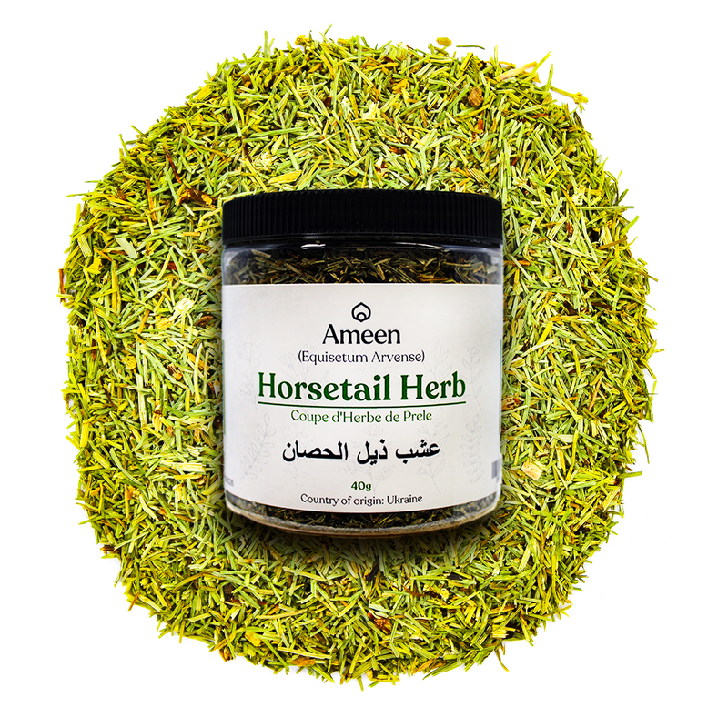 Common horsetail, Horse pipes, Horse willow, Horsetail grass, Western horsetail, Snake grass, Foxtail, Mare's tail, Jointed Rush, Shavegrass, Ashwa pucha, Soksae, Sugina, Field Horsetail, Toadpipe, Rasperella, Ravrumpa, Zinngras, Zinnkraut, Queue de rat, Queue de renard, Wen ching, Belcho,&nbsp;ذيل الحصان,&nbsp;دم‌اسب صحرایی,&nbsp;puzzlegrass, bottle brush, scouring rush, pewterwort, shavegrass, equisetum, field horsetail, Dutch rushes, jointed rush, paddock-pipes