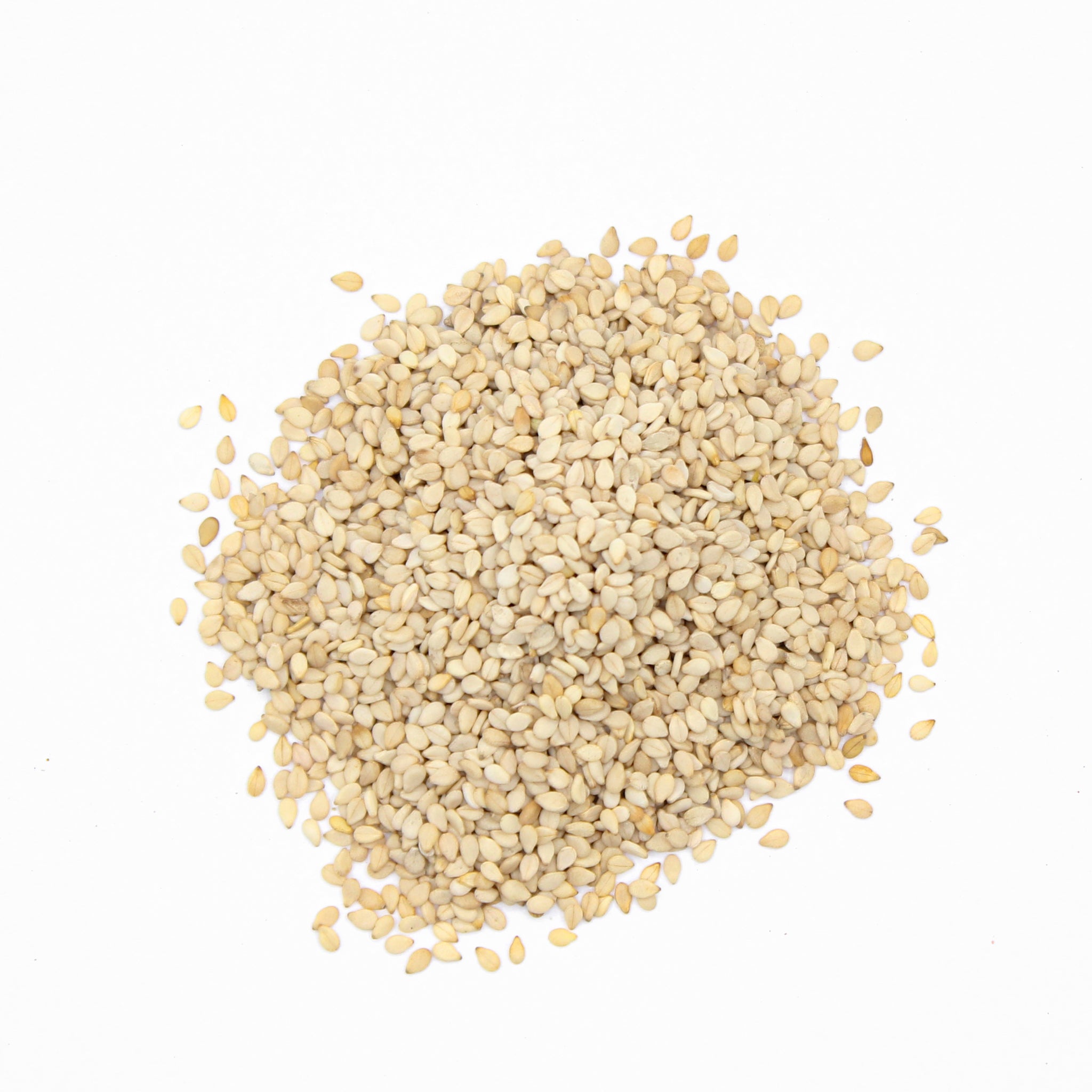 White Sesame Seeds, Hulled Sesame Seeds, Natural Sesame, Ajonjolí Blanco, Weiße Sesamsamen, Graines de Sésame Blanc, Semi di Sesamo Bianco, 白芝麻, السمسم الأبيض, सफेद तिल