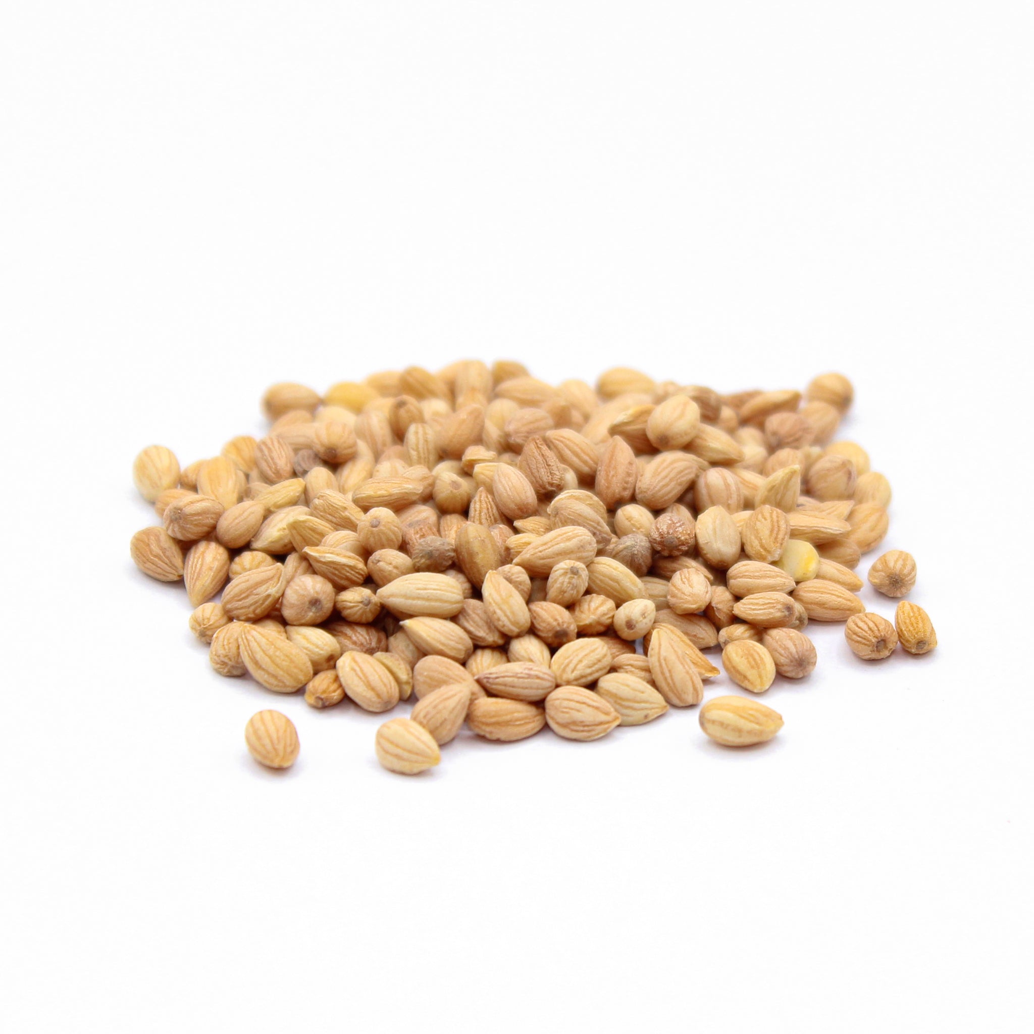 Mahlab Seeds, Mahleb, Mahaleb, Mahlepi, Mahleb Seeds, Cherry Kernels, حب المحلب, Μαχλέπι, Mahlepi
