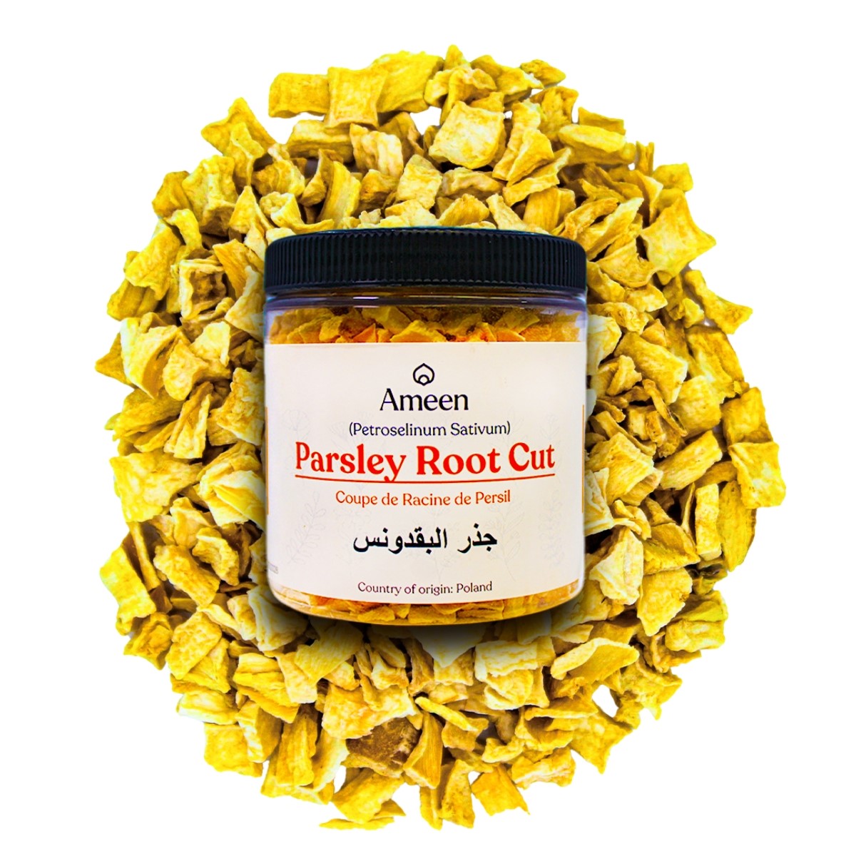 Parsley Root, Hamburg Parsley, Turnip-Rooted Parsley, Dutch Parsley, Wurzelpetersilie, Petroselinum Crispum var. Tuberosum, Peller, Persil Racine, Celery Rooted Parsley, Knolkervel, Persil Tubéreux, Wietselerwurzel, Pasternaken, Raiz de Apio, Rábano Hortense, Celery Parsley, Rasparsley