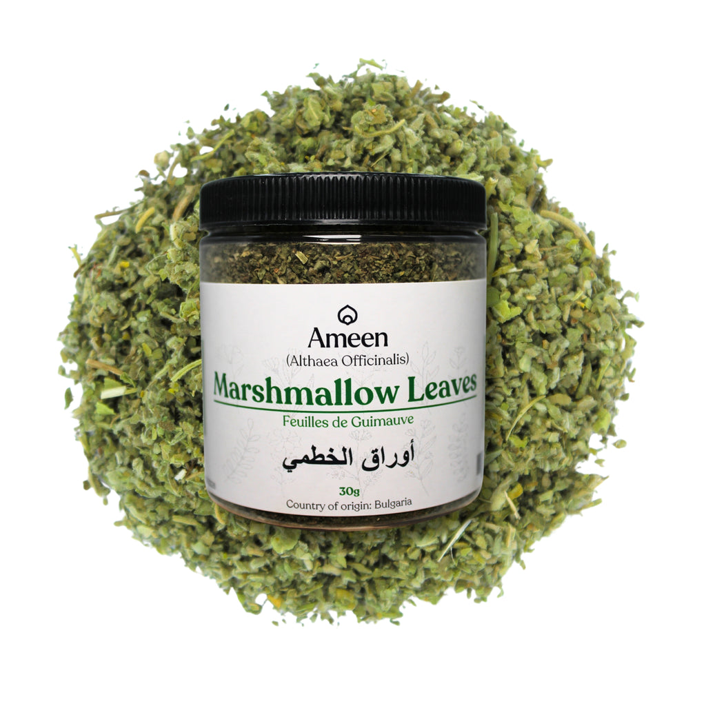 Botanical Name: Althaea officinalis
Common Names: Marshmallow Leaf, Althaea Leaf, White Mallow Leaf
Global Names:
Arabic: أوراق الخطمى (Awrāq al-khatmā)
Persian: برگ ختمی (Barg-e Khatmi)
Hindi: गुलखैरा के पत्ते (Gulkhaira ke Patte)
French: Feuilles de Guimauve
German: Eibischblätter
Spanish: Hojas de Malvavisco
Turkish: Hatmi Yaprağı
Chinese: 蜀葵叶 (Shǔ kuí yè)