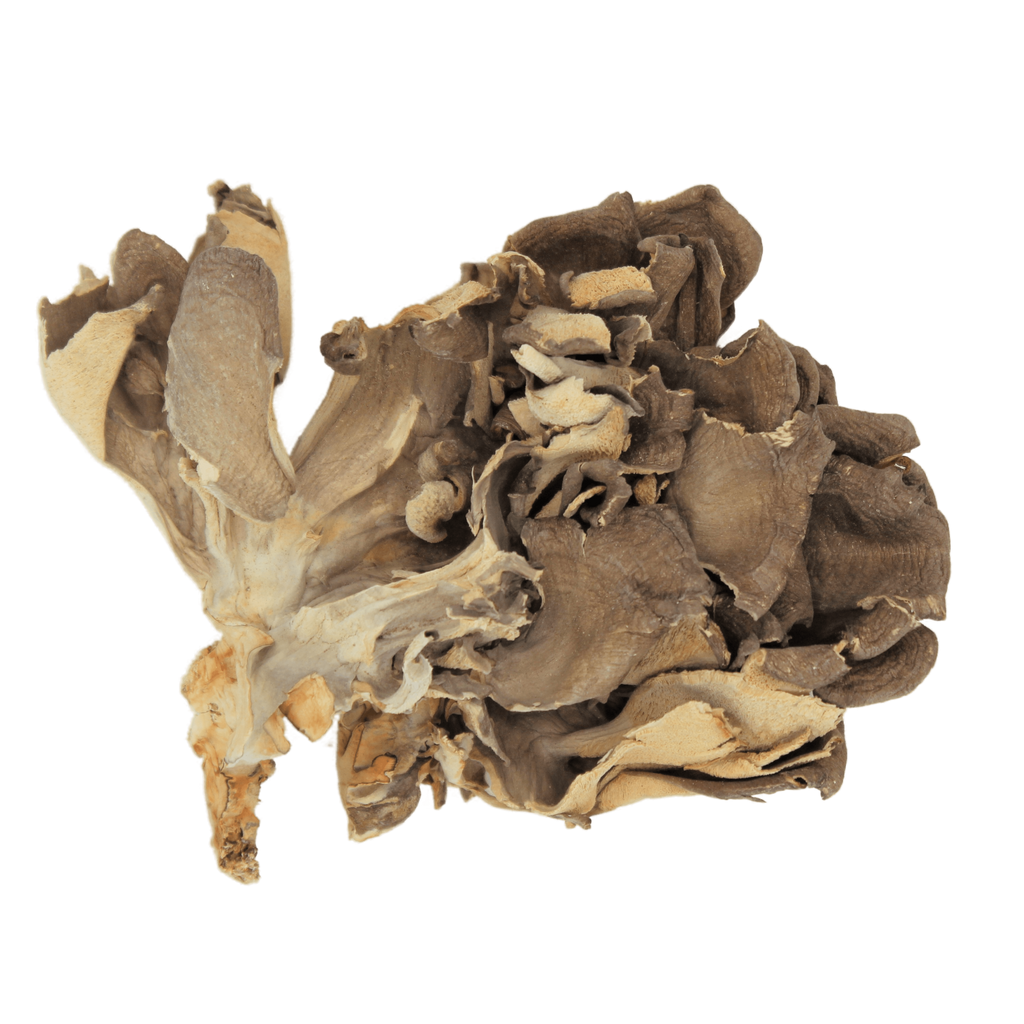 Maitake Mushroom – Ameen