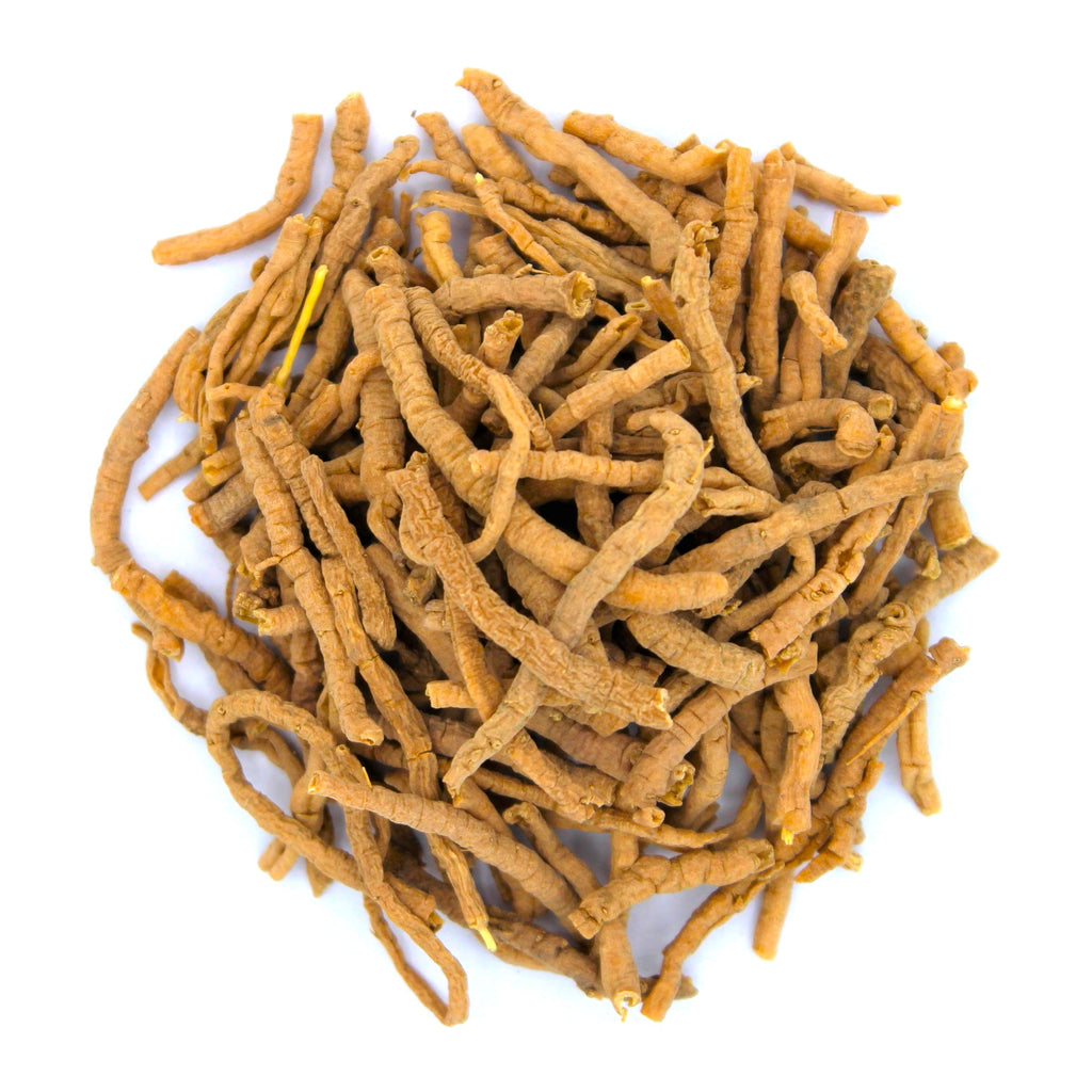 Botanical Name: Polygala tenuifolia
Common Names: Milkwort Root, Radix Polygalae, Yuan Zhi, Seneca Snakeroot, Chinese Senega, Thinleaf Milkwort, Polygala Root, Polygala Senega, Chinese Senega Root, Polygalae Radix, Evergreen Snakeroot, Flowering Wintergreen, Little Pollom, European Bitter Polygala, and Snakeroot.