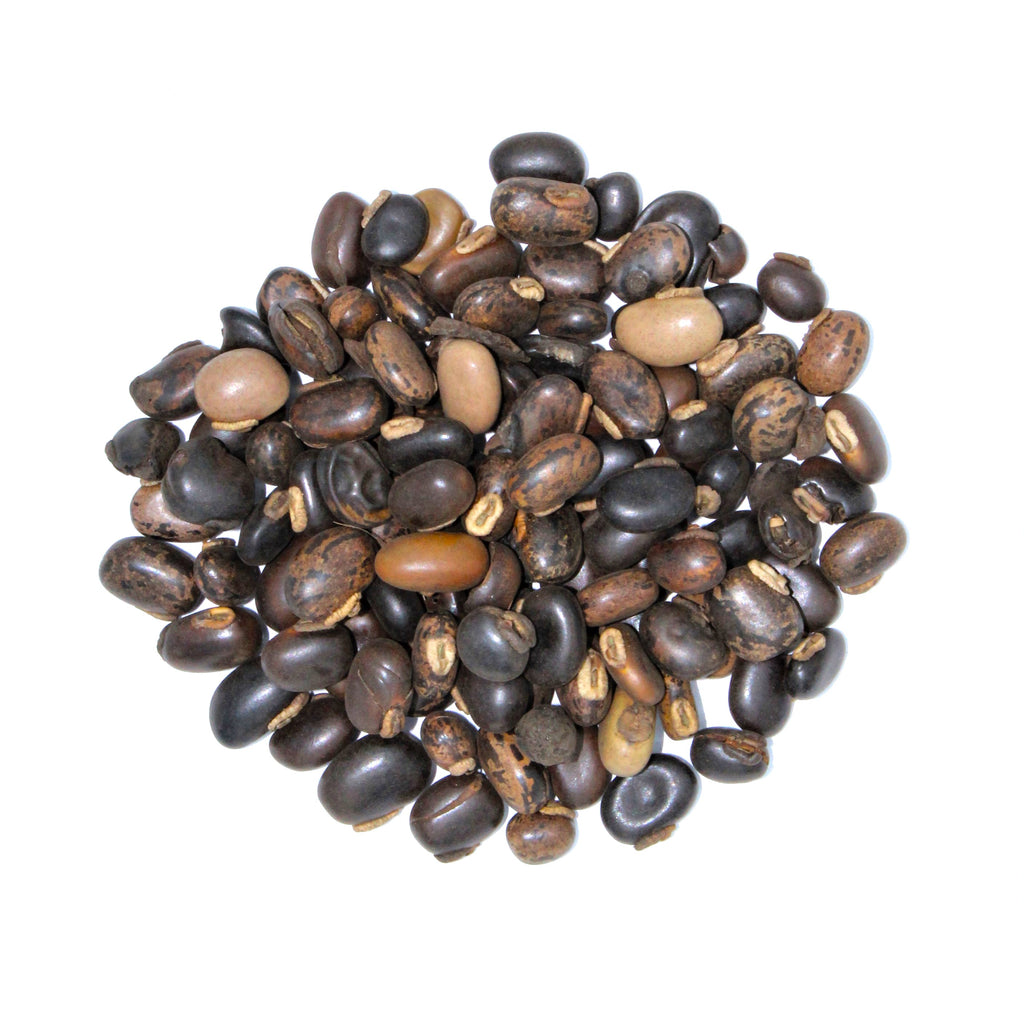 Botanical Name: Mucuna Pruriens
Common Names: Velvet Bean, Cowitch, Cowage, Monkey Tamarind, Bengal Velvet Bean, Florida Velvet Bean, Mauritius Velvet Bean, Yokohama Velvet Bean, Lacuna Bean, Lyon Bean