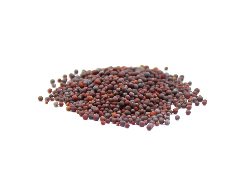 Black Mustard Seeds, Rai, Sarson, Kali Sarson, Schwarzer Senf, Moutarde noire, Senape nera, Mostaza negra, 黑芥末籽, الخردل الأسود, Mustard Black