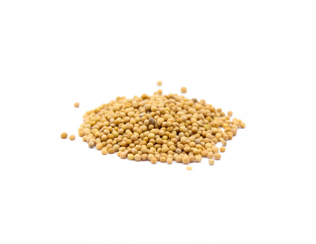 Yellow Mustard Seeds, White Mustard, Brassica hirta, American Mustard, Spirit Mustard, English Mustard, 白芥子, مستردة صفراء, Mostarda gialla, Moutarde blanche, Gelbe Senfsamen
