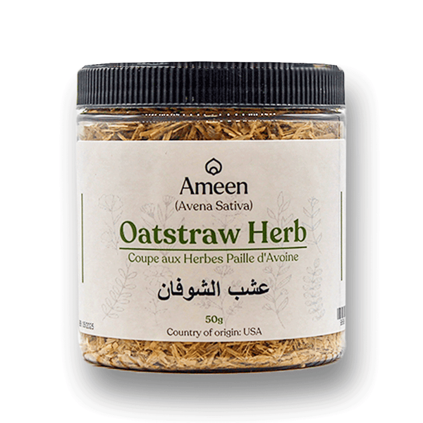 Oatstraw Herb, Avena, oatgrass, common oat, oat, sult, oat tops, oat grass, wild oat herb, groats, green oats, common oat, oat stems