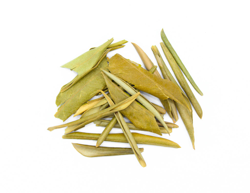 Olive leaves, Olea europaea, Olea europaea leaves, Olive leaf foliage, Olive tree leaves, Common olive leaves, European olive leaves, Oleaster leaves, Olive branch leaves, Sacred olive leaves, Wild olive leaves, Ancient olive leaves, Olive leaf extract, Olea leaves, Olive leaf tea